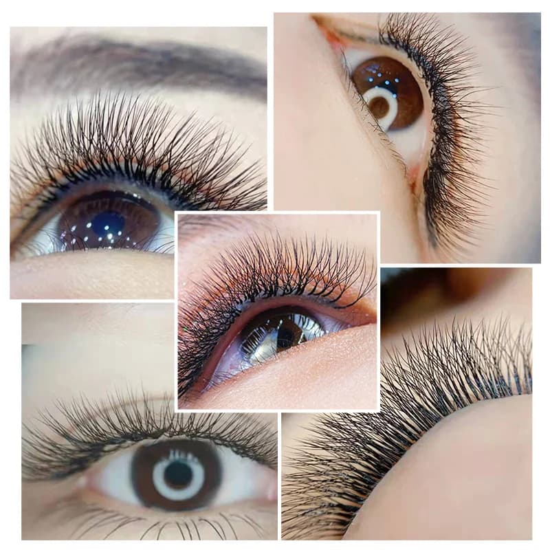 4D W oblikovane cvetoče predpripravljene pahljačaste eyelash extensions